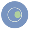 Bergson 4