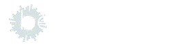 Bergson Main Logo 2