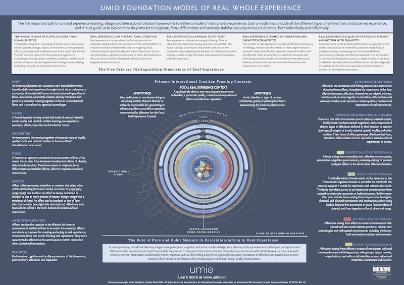 Umio Model of Real Experience Infographic-1